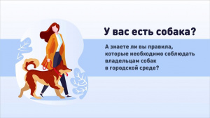 У вас есть собака? А знаете ли вы правила, которые необходимо соблюдать владельцам собак в городской среде? 